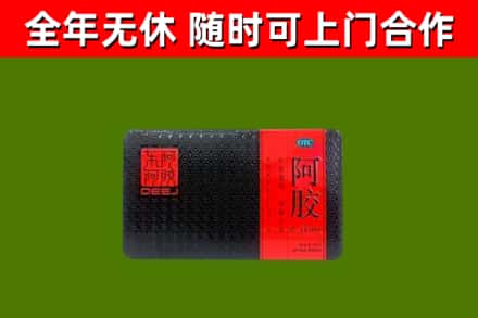 君山区回收阿胶